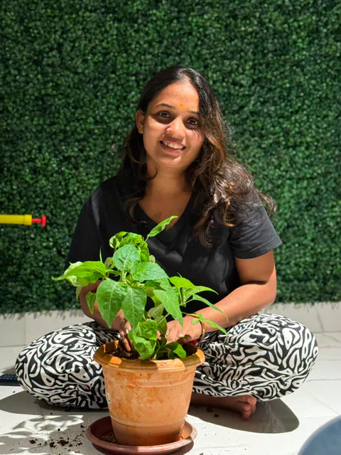 Tree Plantation 2026 – Head Office