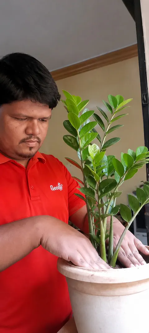 Tree Plantation 2026 – Head Office