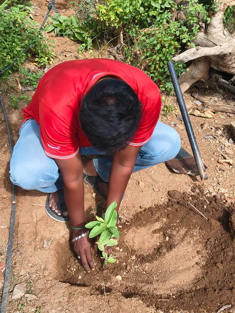 Tree Plantation 2026 – Karnataka