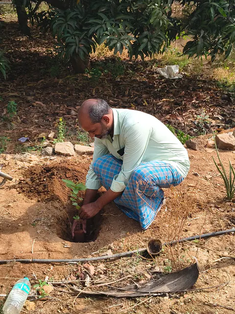 Tree Plantation 2026 – Karnataka