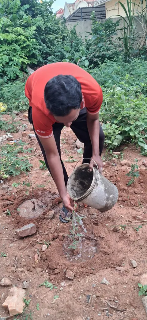 Tree Plantation 2026 – Karnataka