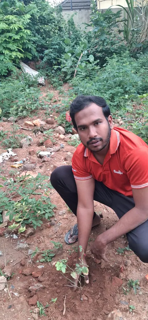 Tree Plantation 2026 – Karnataka
