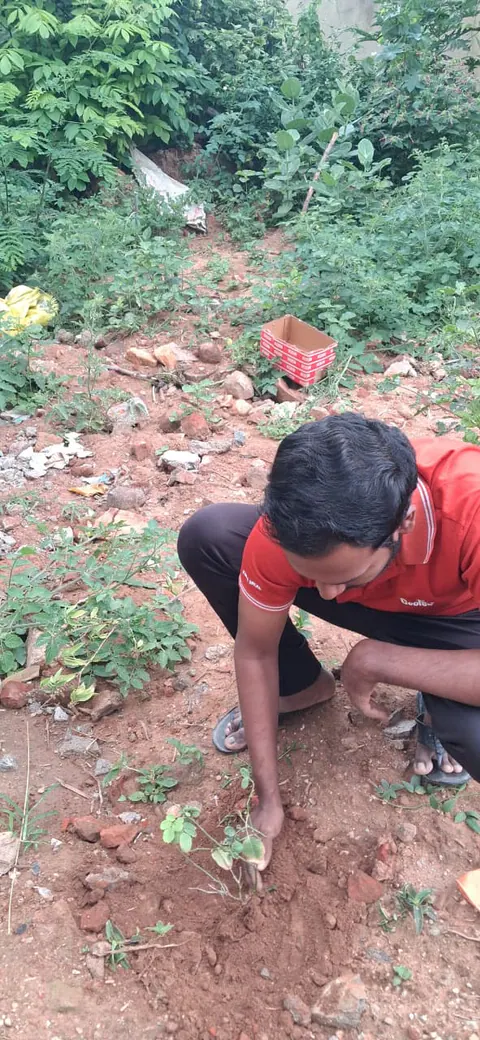Tree Plantation 2026 – Karnataka