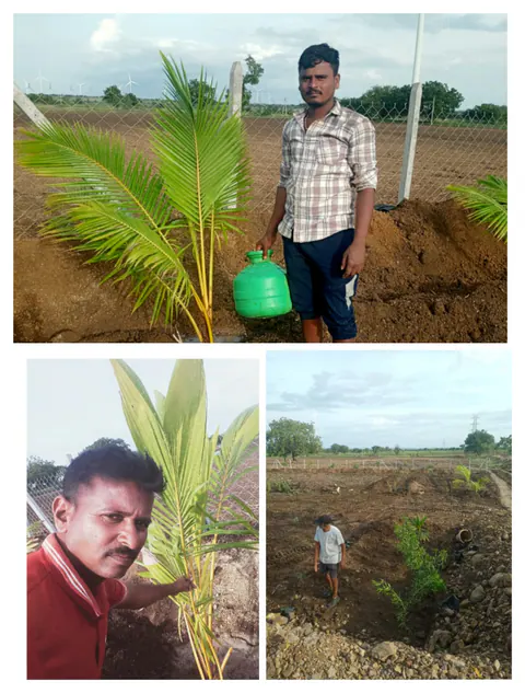 Tree Plantation 2026 – Karnataka