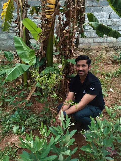 Tree Plantation 2026 – Karnataka