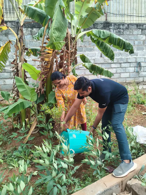 Tree Plantation 2026 – Karnataka