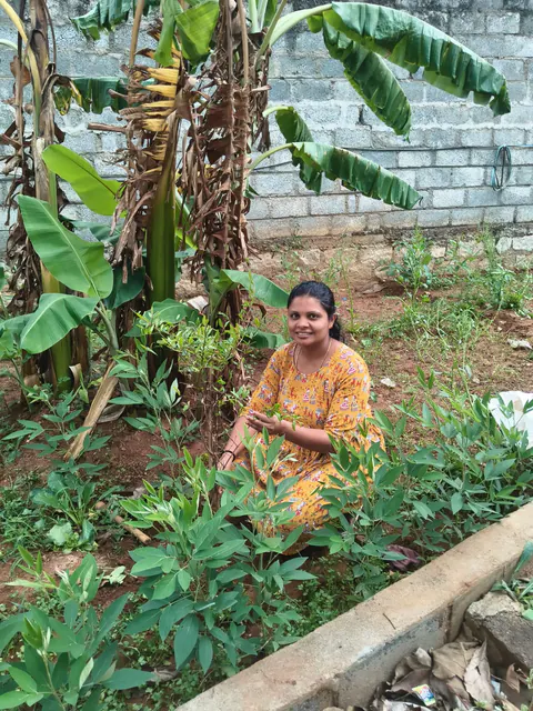 Tree Plantation 2026 – Karnataka