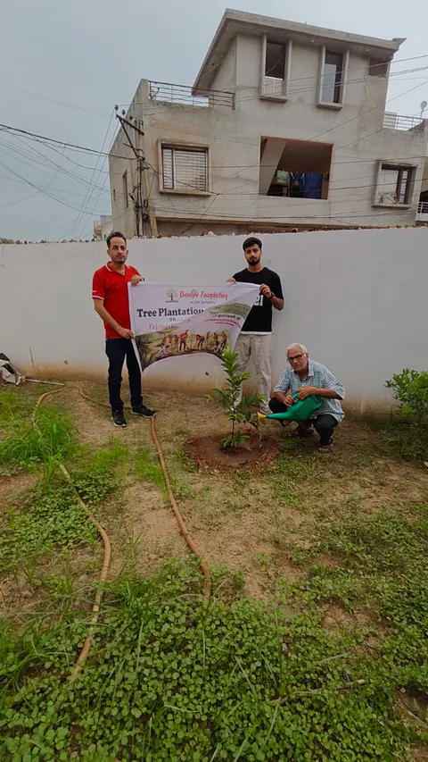 Tree Plantation 2026 – Punjab