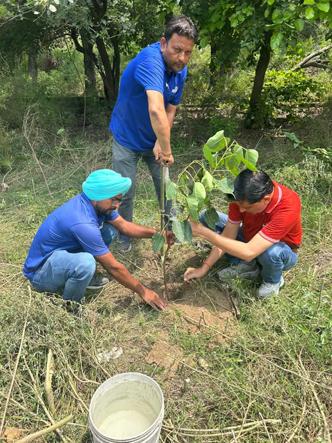 Tree Plantation 2026 – Punjab