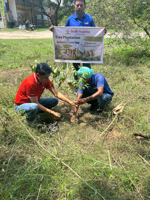 Tree Plantation 2026 – Punjab