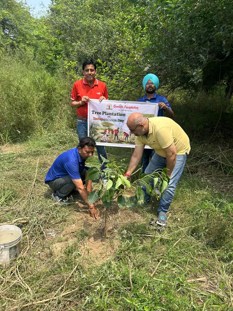 Tree Plantation 2026 – Punjab