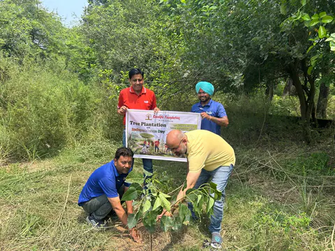 Tree Plantation 2026 – Punjab