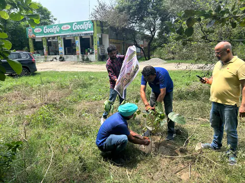 Tree Plantation 2026 – Punjab