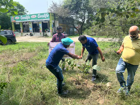Tree Plantation 2026 – Punjab