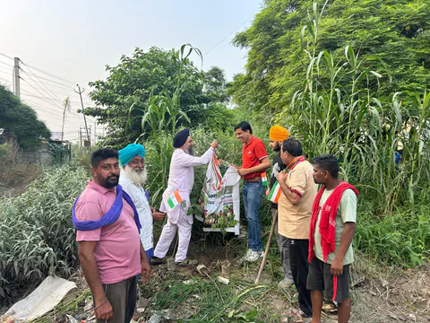 Tree Plantation 2026 – Punjab