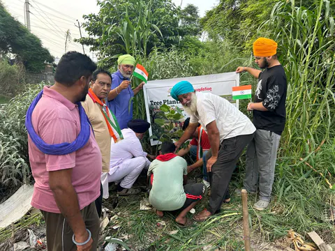 Tree Plantation 2026 – Punjab