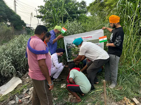 Tree Plantation 2026 – Punjab