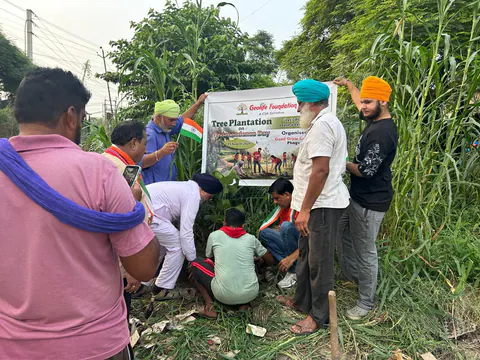 Tree Plantation 2026 – Punjab
