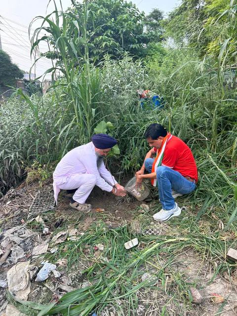 Tree Plantation 2026 – Punjab