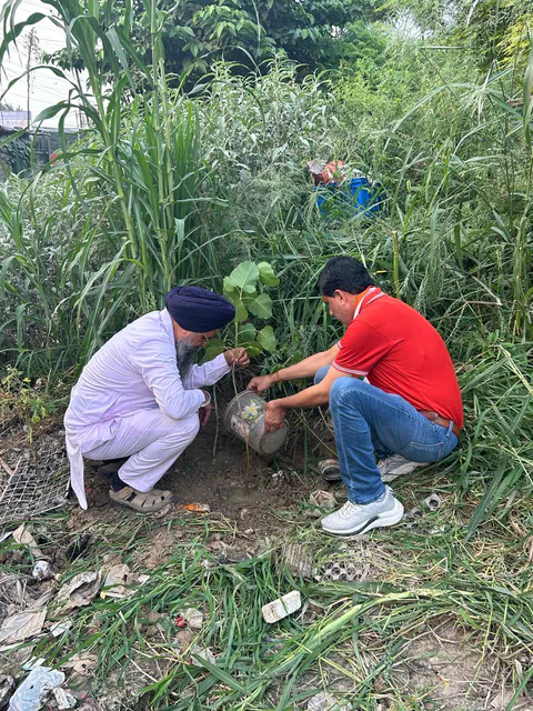 Tree Plantation 2026 – Punjab