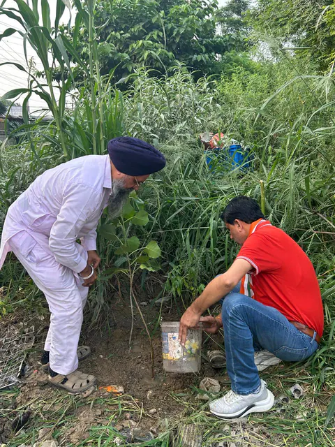 Tree Plantation 2026 – Punjab