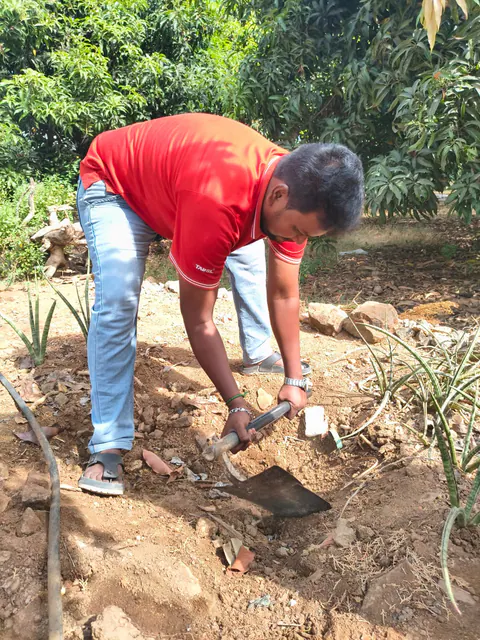 Tree Plantation 2026 – Tamil Nadu