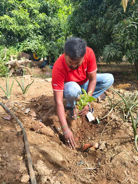 Tree Plantation 2026 – Tamil Nadu