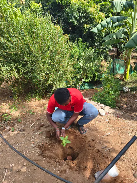 Tree Plantation 2026 – Tamil Nadu