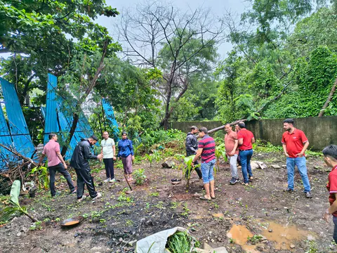 Tree Plantation 2026 – Wadhwa