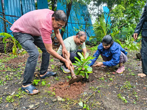 Tree Plantation 2026 – Wadhwa