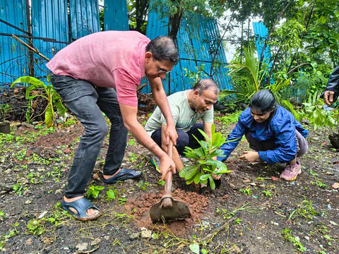 Tree Plantation 2026 – Wadhwa