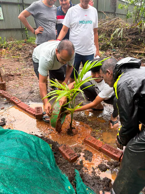 Tree Plantation 2026 – Wadhwa