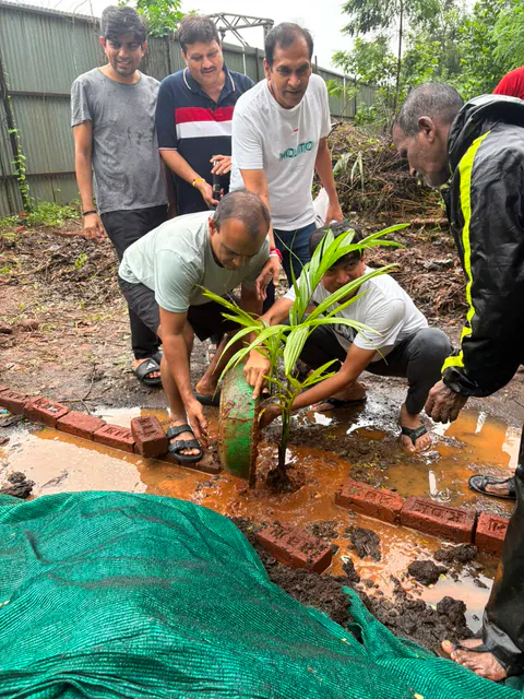 Tree Plantation 2026 – Wadhwa