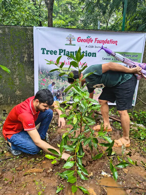 Tree Plantation 2026 – Wadhwa