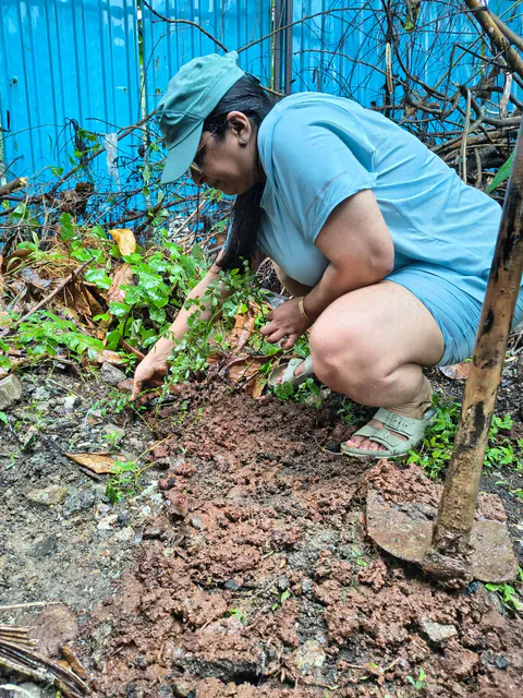 Tree Plantation 2026 – Wadhwa