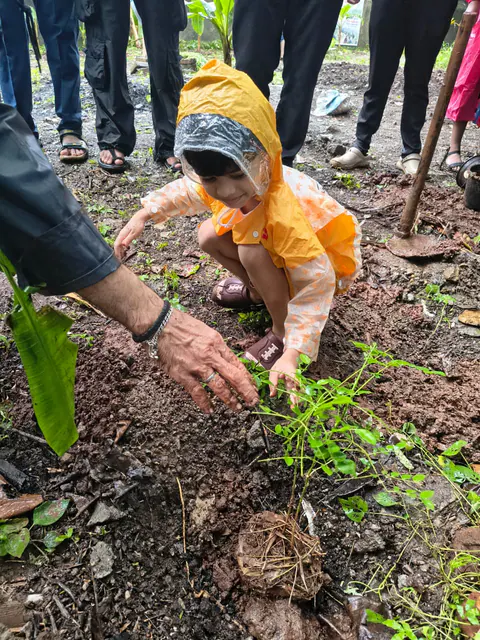 Tree Plantation 2026 – Wadhwa