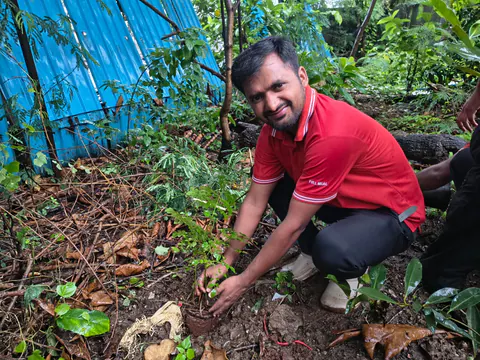 Tree Plantation 2026 – Wadhwa