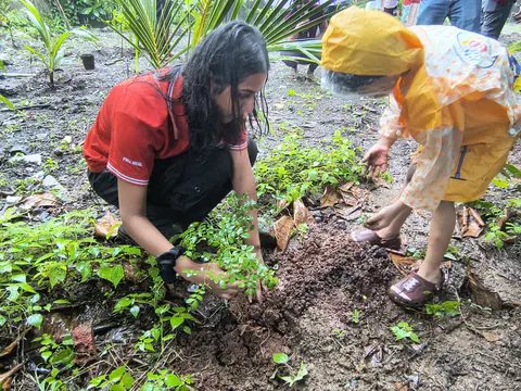 Tree Plantation 2026 – Wadhwa