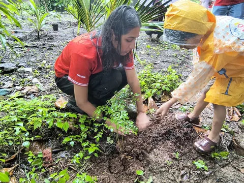 Tree Plantation 2026 – Wadhwa
