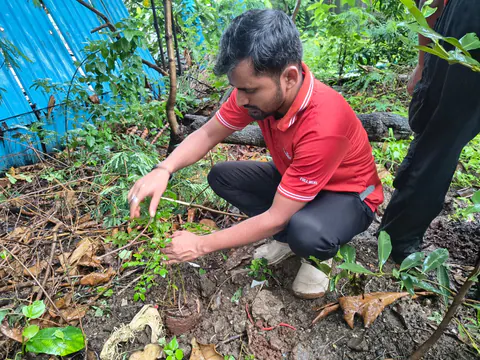 Tree Plantation 2026 – Wadhwa