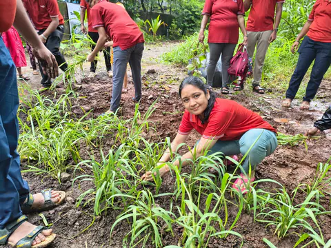 Tree Plantation 2026 – Wadhwa