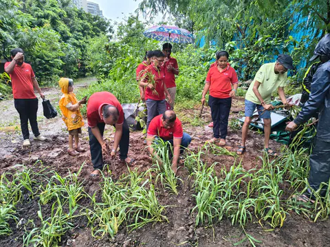 Tree Plantation 2026 – Wadhwa