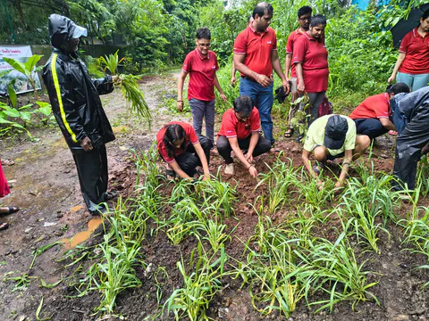 Tree Plantation 2026 – Wadhwa