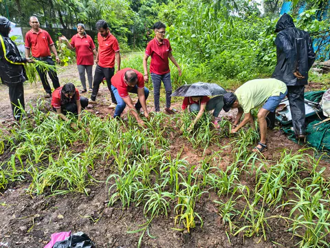 Tree Plantation 2026 – Wadhwa
