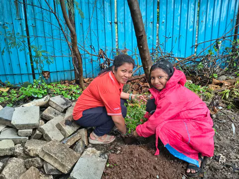 Tree Plantation 2026 – Wadhwa