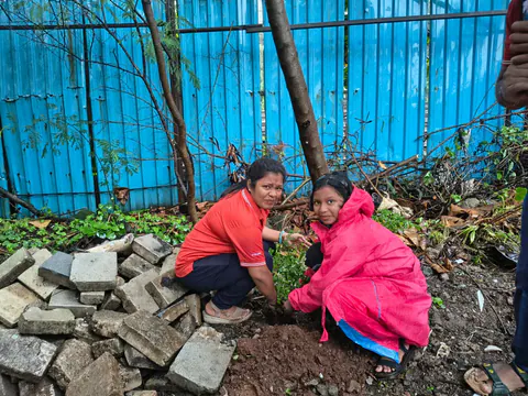 Tree Plantation 2026 – Wadhwa