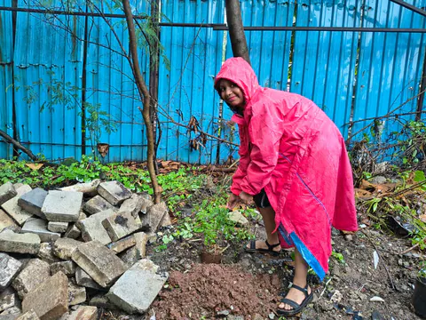 Tree Plantation 2026 – Wadhwa