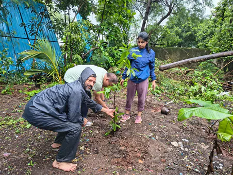 Tree Plantation 2026 – Wadhwa