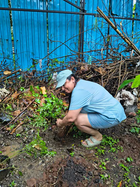 Tree Plantation 2026 – Wadhwa