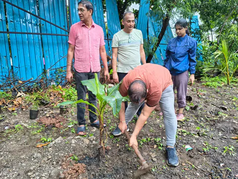 Tree Plantation 2026 – Wadhwa